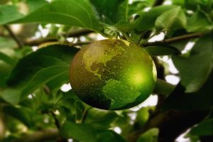 Calefacción solar, la opción sostenible que pocos conocen