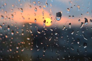 Refranero, del en abril aguas mil al nunca llueve a gusto de todos