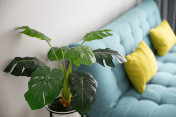 Alternativa sostenible y elegante para espacios decorativos