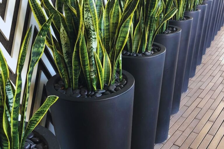 Por qué los maceteros de fibra de vidrio son ideales para jardines