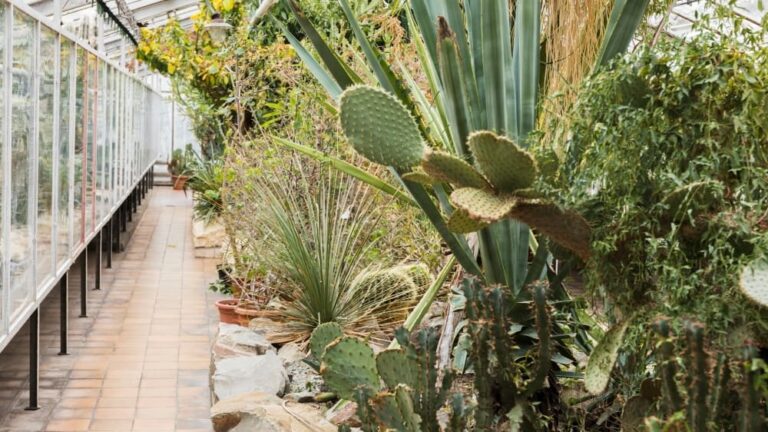 Diseñar jardines mediterráneos requiere asesoramiento, vivero adecuado y especies bien seleccionadas